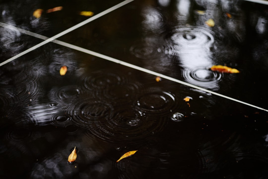 Luxury vinyl plank in Texarkana living room